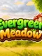 Evergreen Meadow
