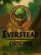 Everstead: Origins