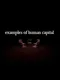 Examples of Human Capital