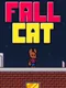 Fall Cat