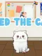 Feed the Cat