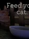 Feed your cat
