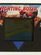 Fighting Boxer