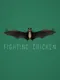 FightingChicken