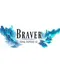 Final Fantasy XI Braver