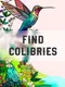 Find Colibries