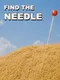 Find The Needle