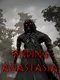 Finding Anastasia