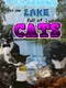 Fishing at the Lake Full of Cats