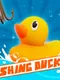 Fishing Ducks