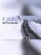 Fjord battle racing
