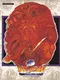 Flame Dragon 2: Legend of Golden Castle