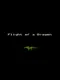 Flight of a Dragon