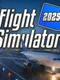 Flight Simulator 2025