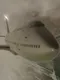 Flight Unlimited X