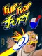 Flip-Flop Fury