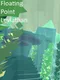 Floating Point Leviathan