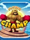Flying Champ
