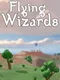 Flying Wizards
