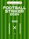 Football Striker 2024
