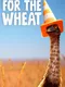 For the Wheat