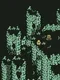 Forgotten Depths