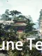 Fortune Telling