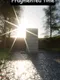 Fragmented Time