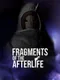 Fragments of the Afterlife