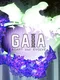 Gaia: Adapt and Evolve