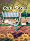 Gain Foxes