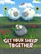 Get Your Sheep Together
