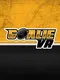 Goalie VR