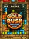 Gold Rush: Treasure Hunt