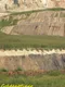 GoldenMiner