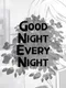 Good Night, Every Night