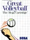 Great Volleyball