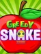 Greedy Snake