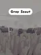 Grey Scout