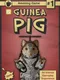 Guinea Pig