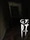 GZ P.T.