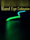 Hand Eye Cubination