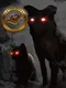 Haunted Stories