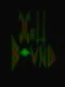 Hellbound