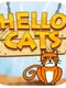 Hello Cats!