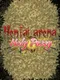 Hentai Arena Holy Pussy