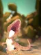 Hero of Giants: Dinosaurs Strike VR