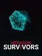 Hexagon Survivors