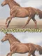 HgmGame Horse