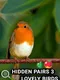 Hidden Pairs 3: Lovely Birds